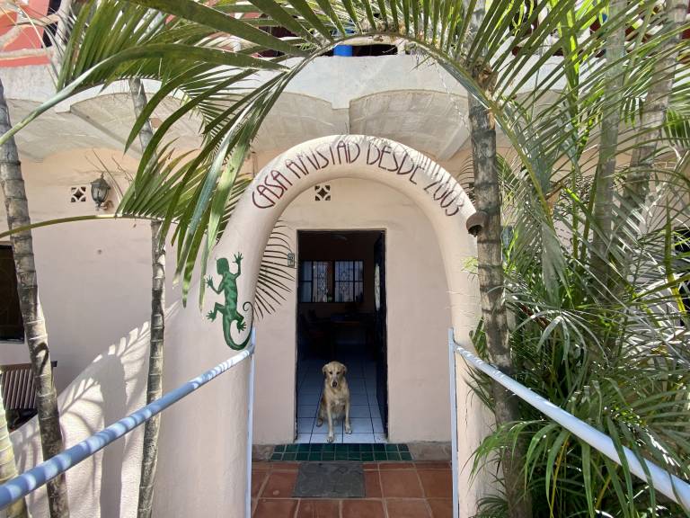 Casa Amistad — photo 2
