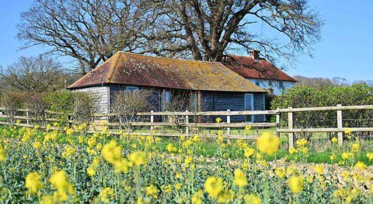 Pleasant house | Pets allowed in Ashford