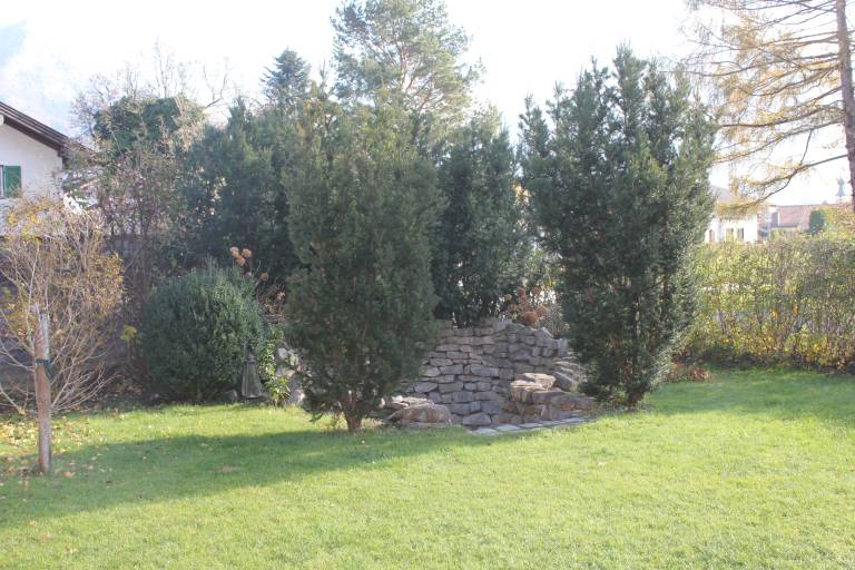foto12