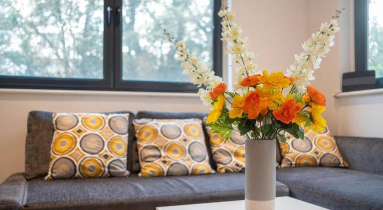 Rental apartment | Close to the beach | Pets are welcome — photo 4