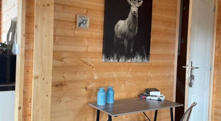 Chalet with yard, private pool & barbeque — photo 4
