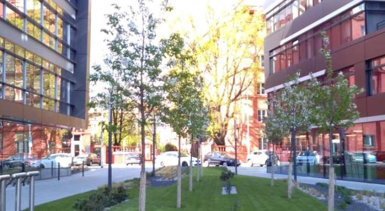 Pleasant rental apartment with garden | Dogs allowed — photo 4