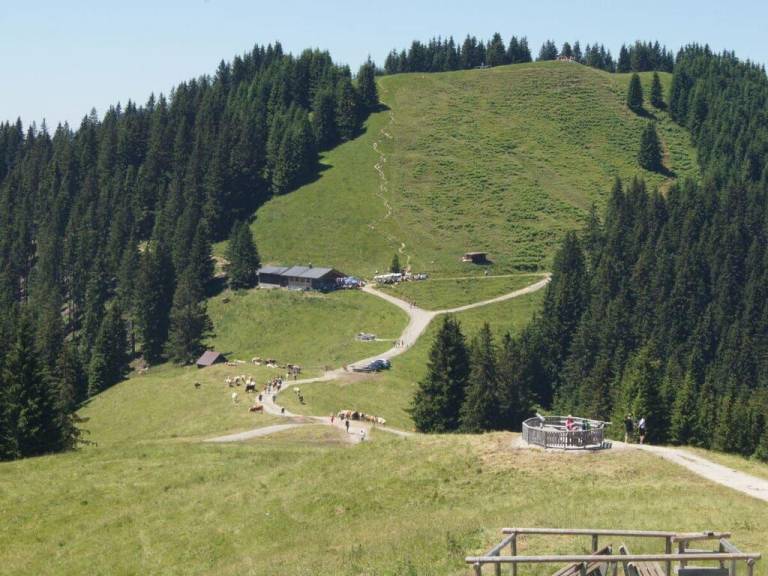 foto16