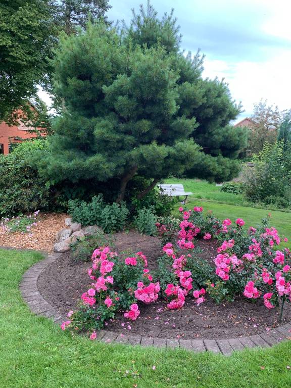 Ferienhaus Amelinghausen