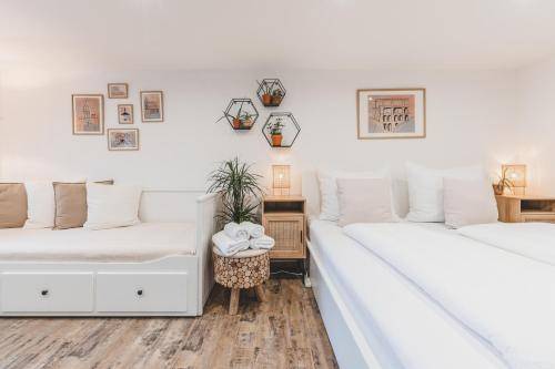Apartmán Brloh