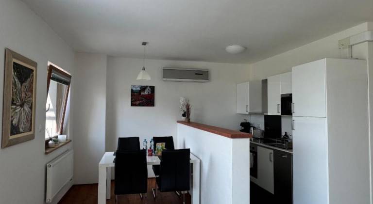 Beautiful rental apartment with jacuzzi | Dogs allowed — photo 4