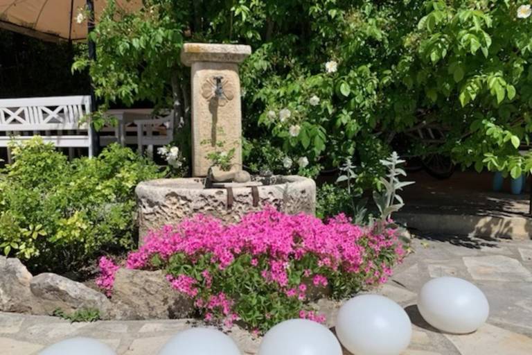 foto6