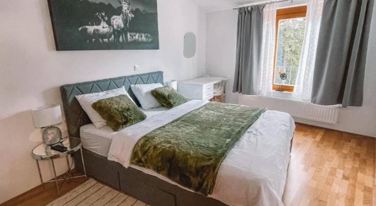 Apartment with 1 room for 5 persons in Maribor