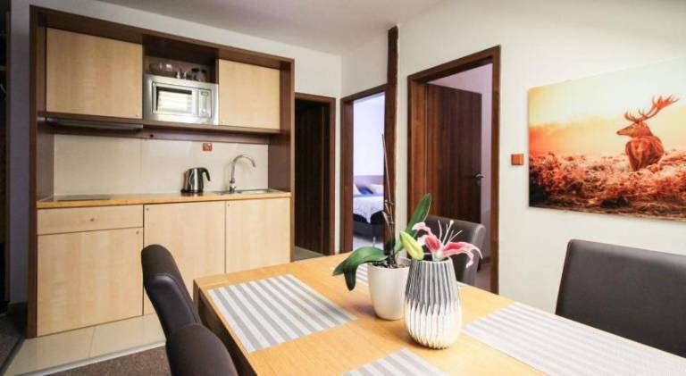 Apartment with hot tub | Pet-friendly — photo 4