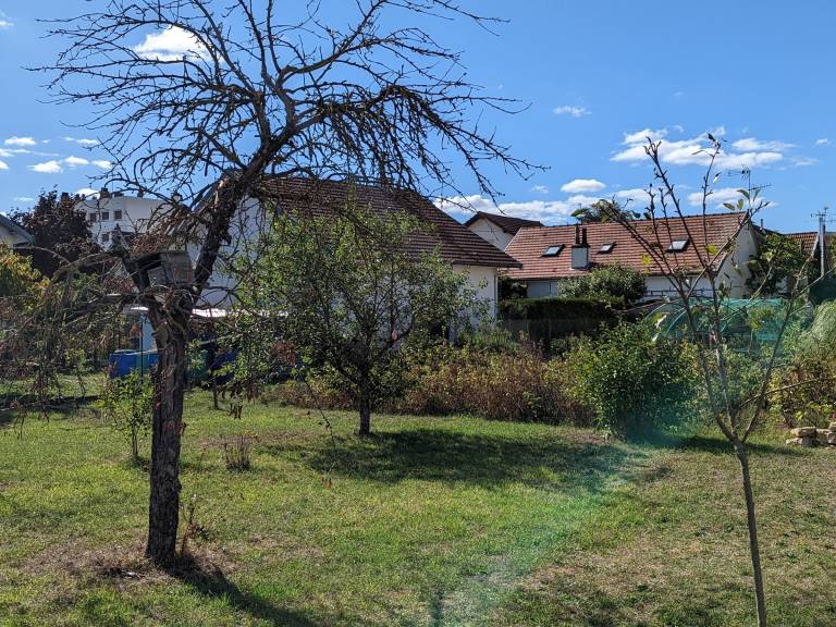 foto21
