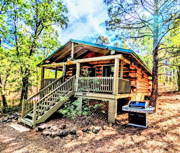 Charming Log Cabin in Tall Pines w Large Deck