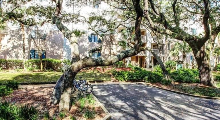 Dog-friendly oceanfront getaway with shared pool & central AC in Fernandina Beach, FL