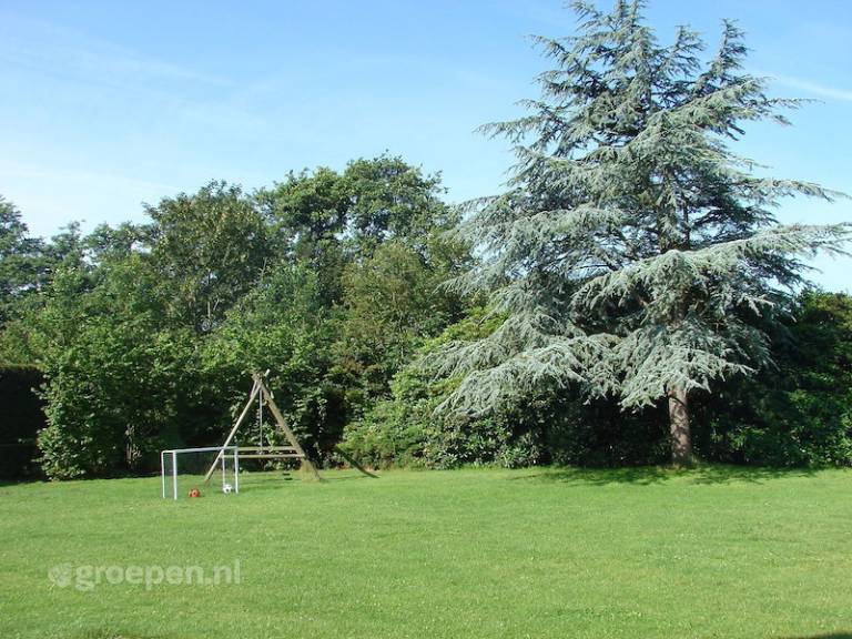 foto19
