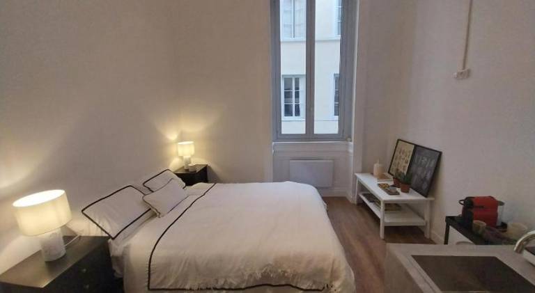 Holiday apartment | Near Lyon Cathedral | Pets allowed in Lyon