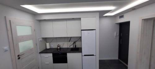 Apartament Wilkasy
