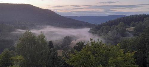 foto6