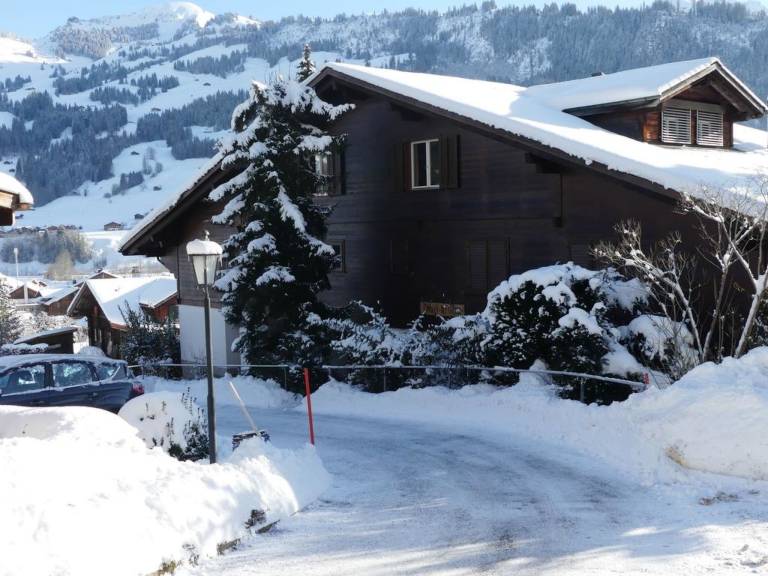 Ferienwohnung  Zweisimmen