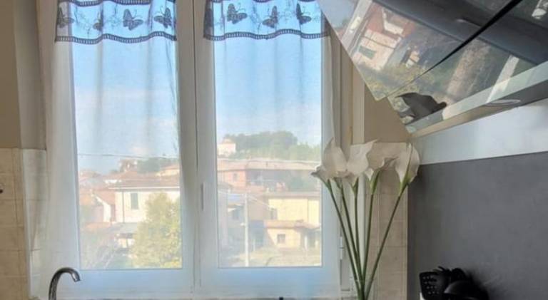 Holiday apartment with private pool, jacuzzi & terrace | Pets are welcome — photo 5