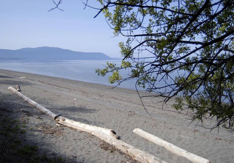 Condo Lummi Island