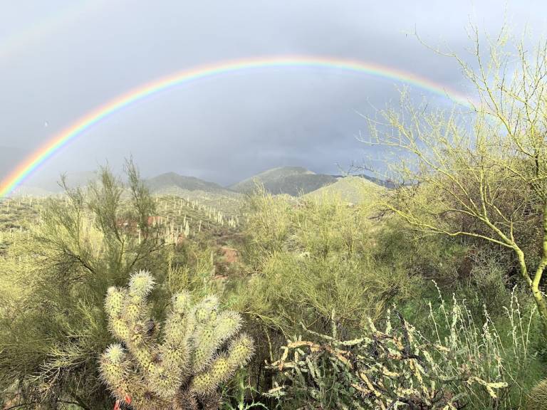 Cottage  Cave Creek