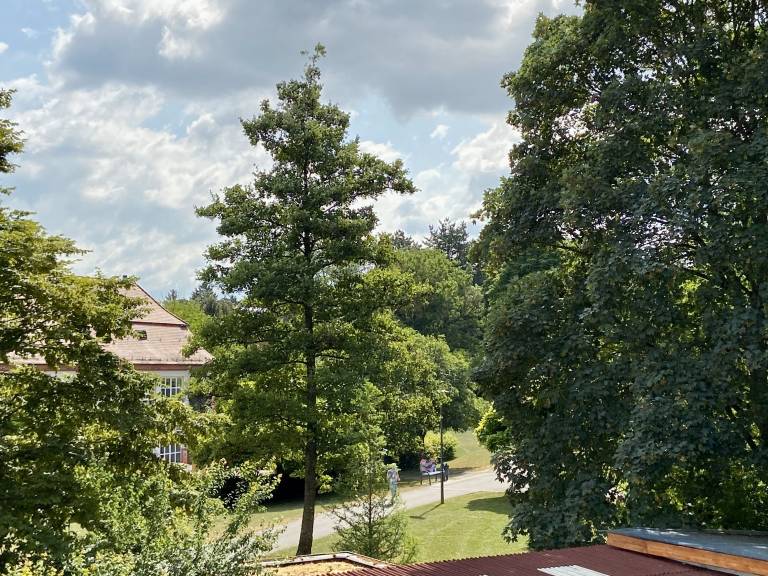 foto11