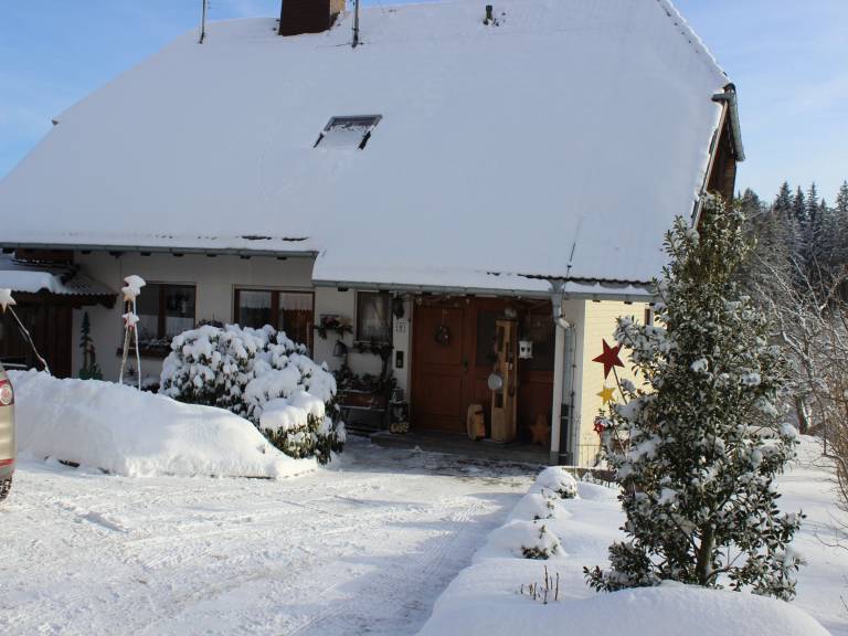 foto11
