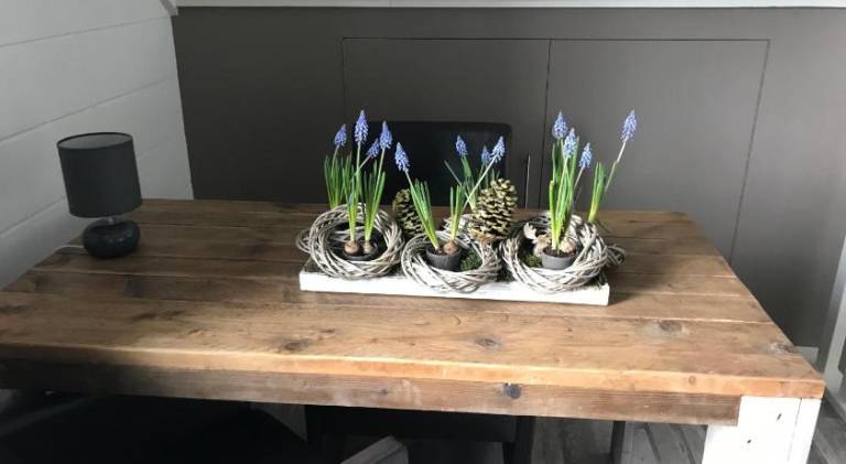 foto20