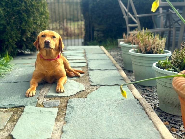 Fully equipped lovely cottage with garden | Pet-friendly — photo 3