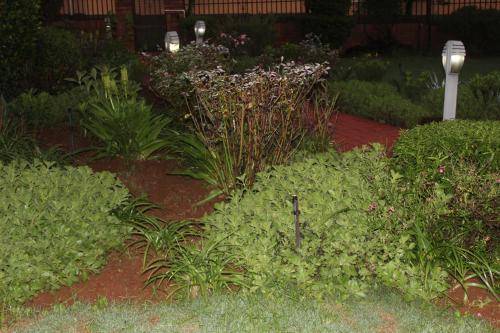 foto10