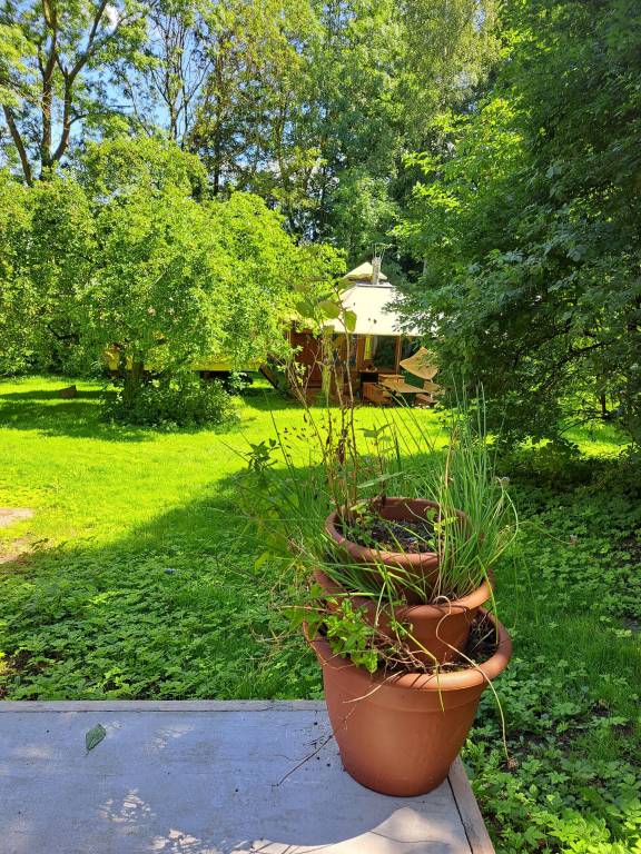 House Klein Nienhagen