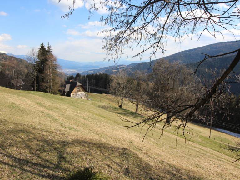 foto48
