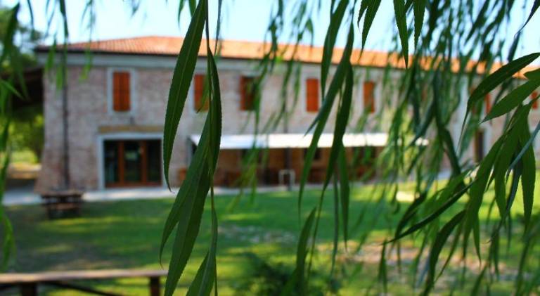 foto8
