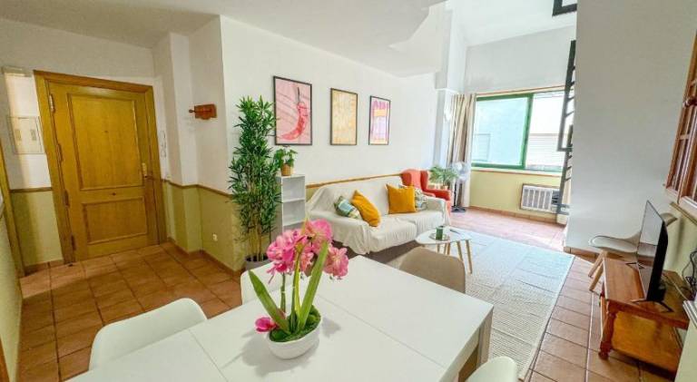 Holiday apartment | Dogs allowed — photo 2