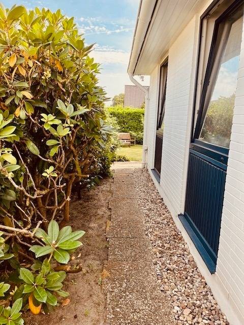 foto19