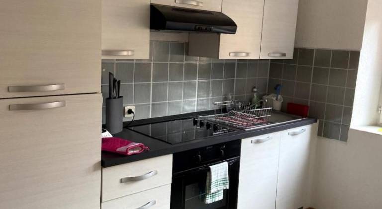 Beautiful holiday apartment | Pets allowed in Sélestat