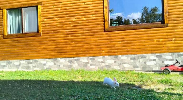 foto28
