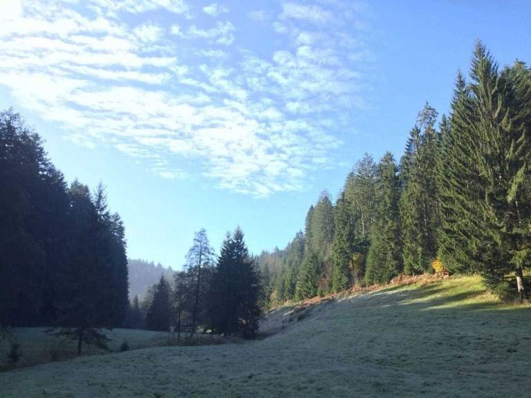 foto15