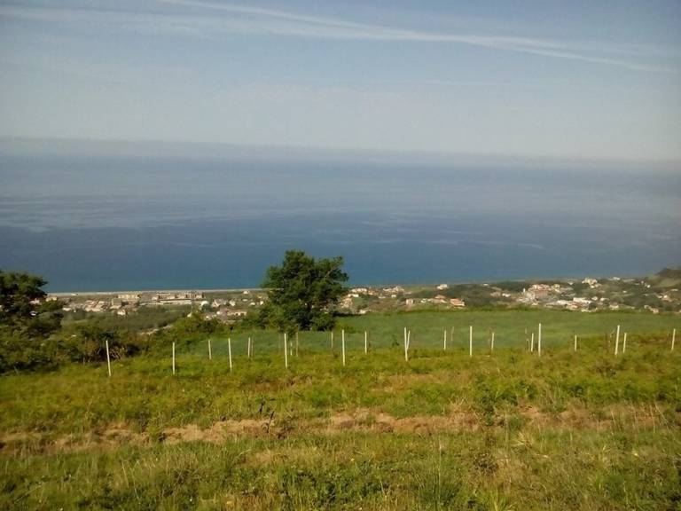 foto15