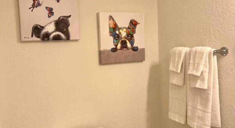 foto31