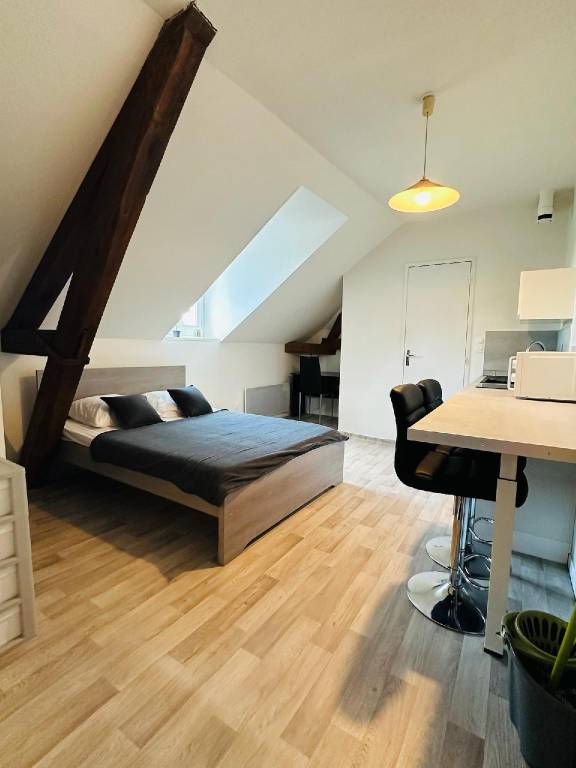 Holiday apartment | Good for workation | Pet-friendly in Troyes