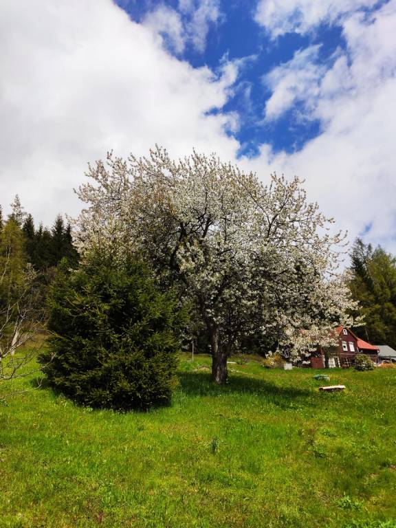 foto11