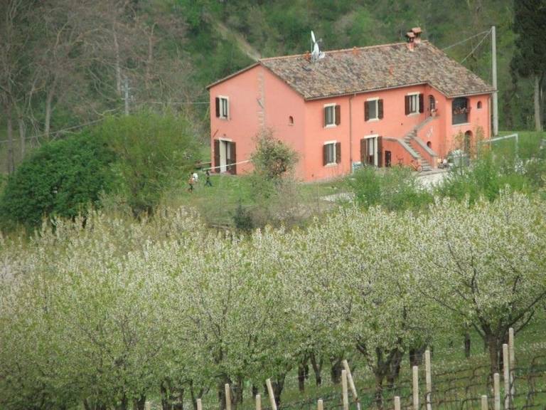 Cà Gianna e Borgorosso: Borgorosso Mini — photo 5