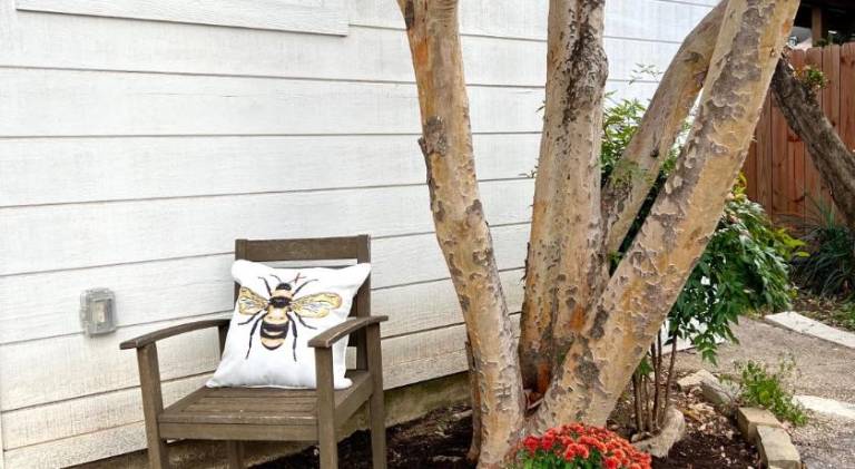 Private modern guesthouse, near La Cantera/Medical Center — photo 3