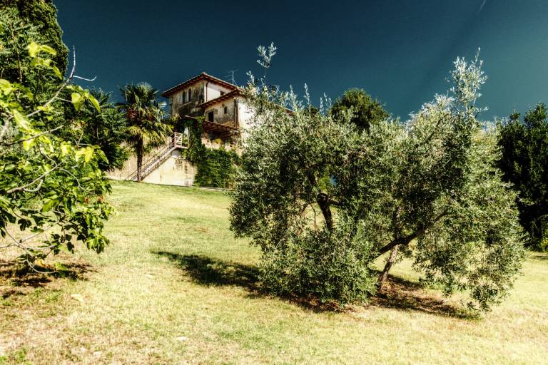 foto43
