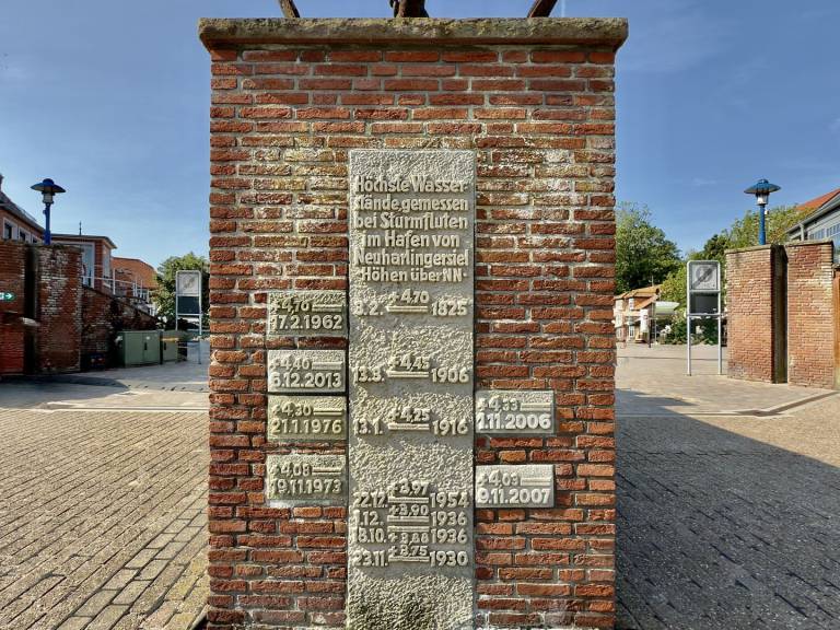 foto41