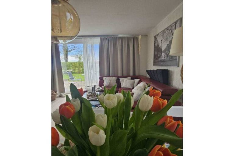 foto17