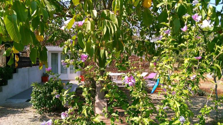 Gîte Gonfaron