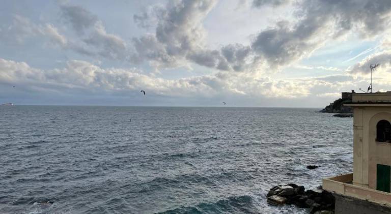Rental apartment with 2 rooms for 4 persons in Genoa