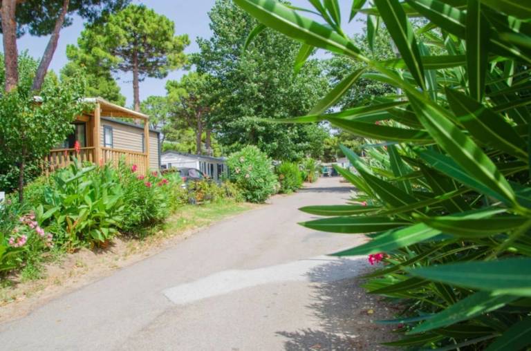 Child-friendly camping with grill & heated pool | Pets are welcome — photo 3