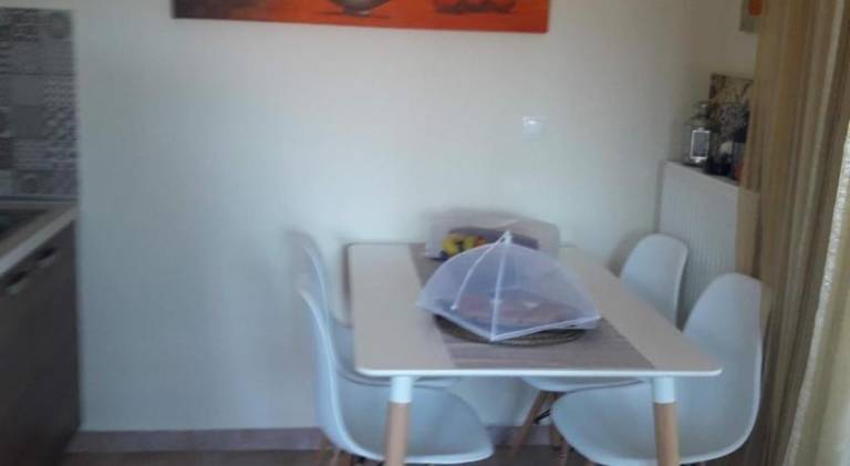 Pleasant holiday apartment with barbeque, garden & terrace | Pet-friendly — photo 4